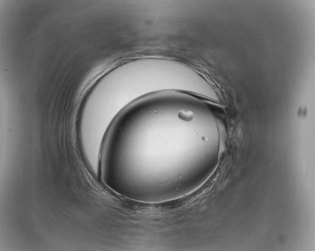 X0000097640293200803071559