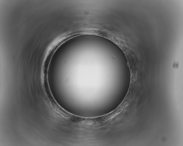 X0000097640294200803071559