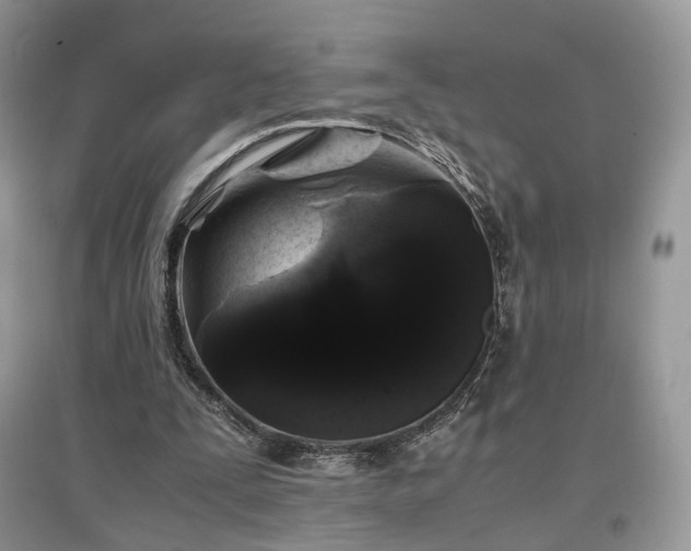 X0000097640295200803071559