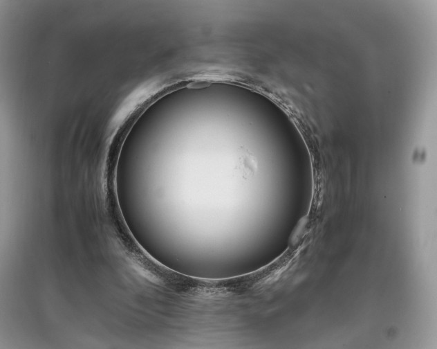 X0000097640296200803071559