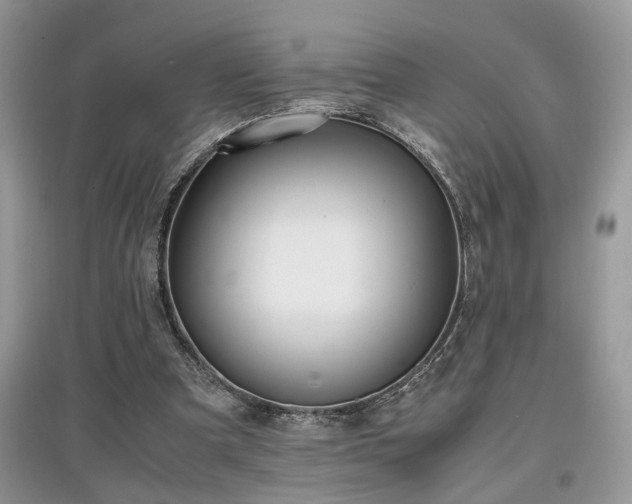 X0000097640297200803071559