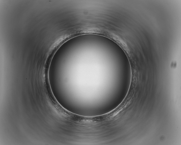 X0000097640298200803071559