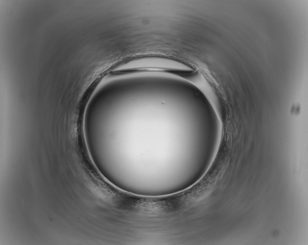 X0000097640299200803071559