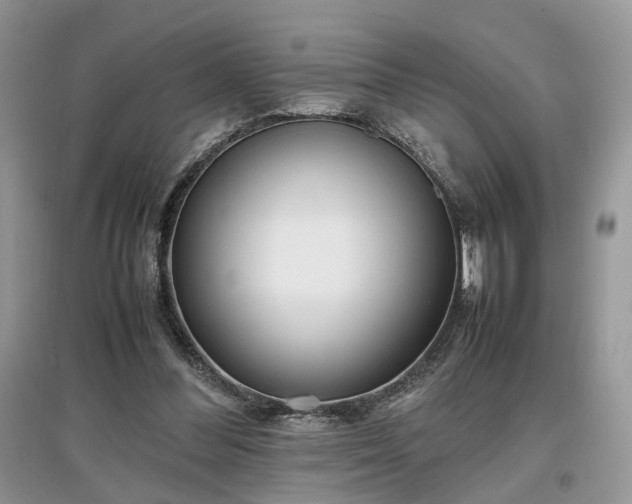 X0000097640300200803071559