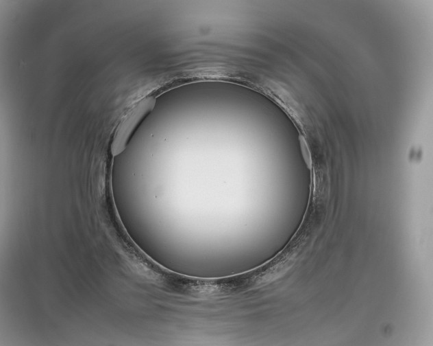 X0000097640301200803071558