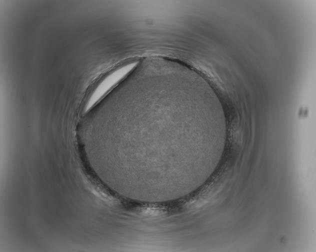 X0000097640303200803071558