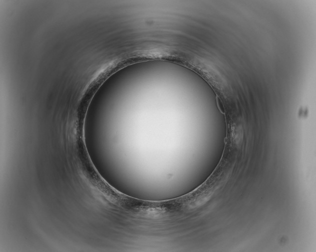 X0000097640304200803071558