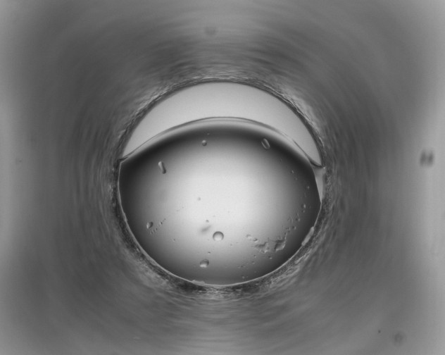 X0000097640305200803071558