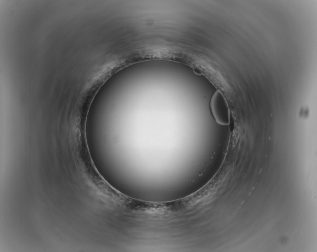 X0000097640306200803071558