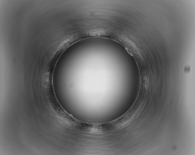 X0000097640308200803071558