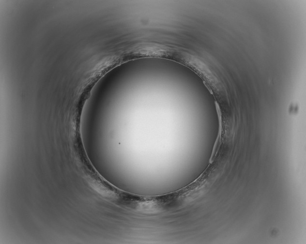 X0000097640309200803071558