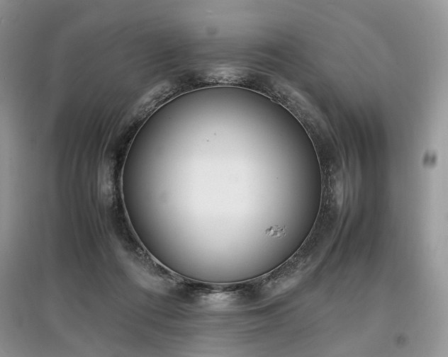 X0000097640312200803071558