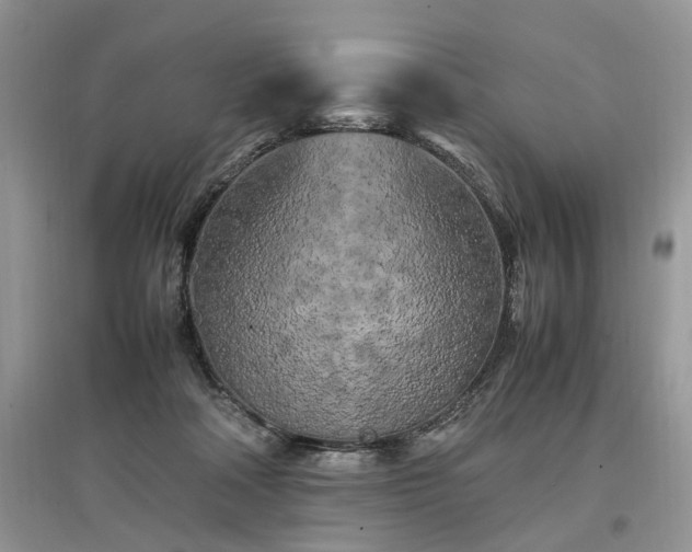 X0000097640314200803071558