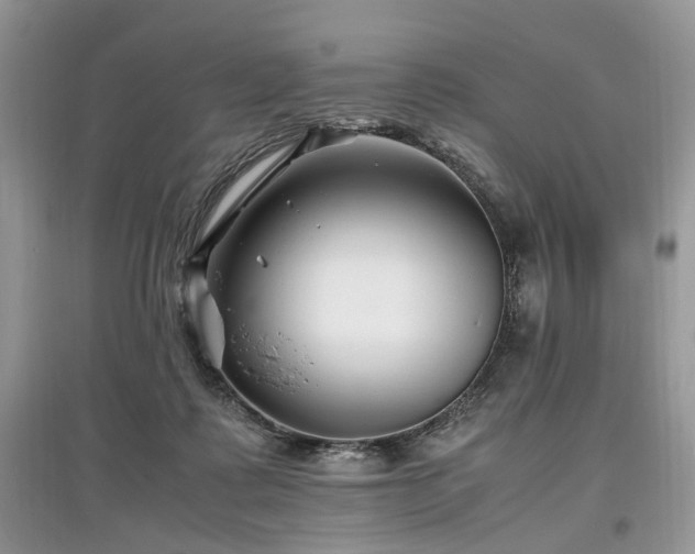 X0000097640315200803071558