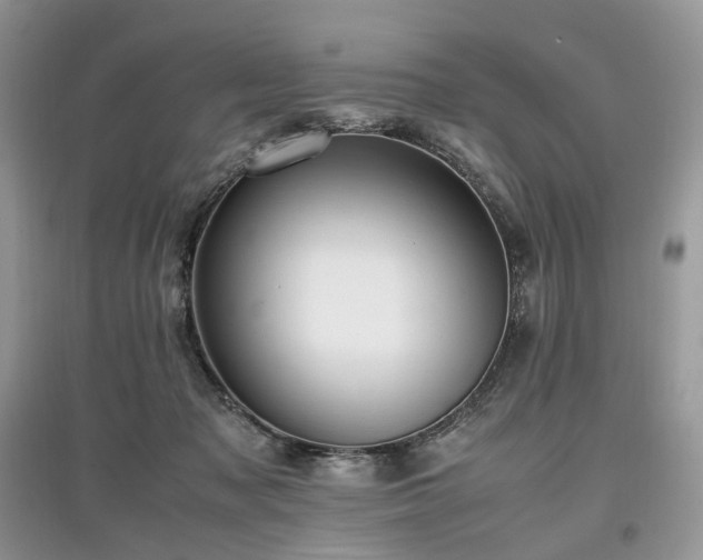 X0000097640317200803071558