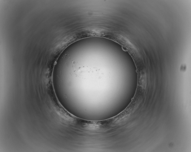 X0000097640318200803071558