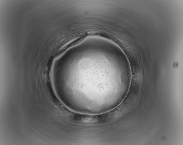 X0000097640319200803071558