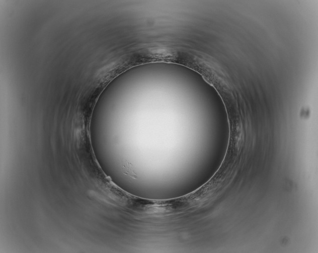 X0000097640320200803071558