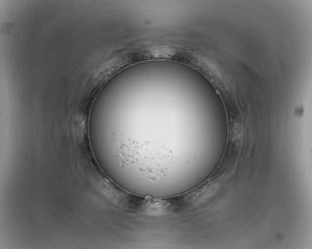 X0000097640321200803071558