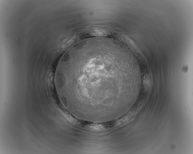 X0000097640322200803071558