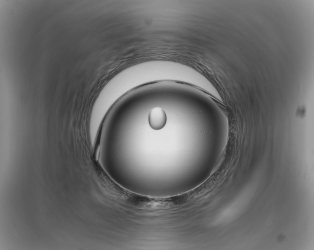 X0000097640323200803071558