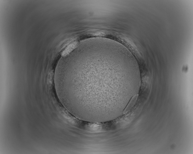 X0000097640325200803071558