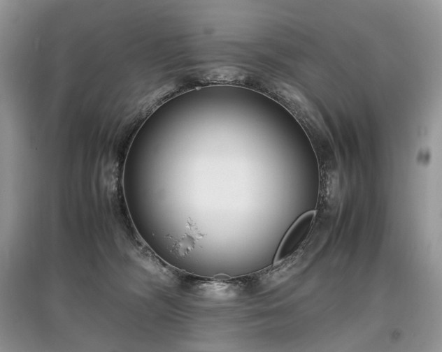 X0000097640326200803071558