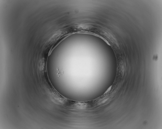 X0000097640328200803071558