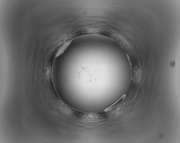 X0000097640329200803071558