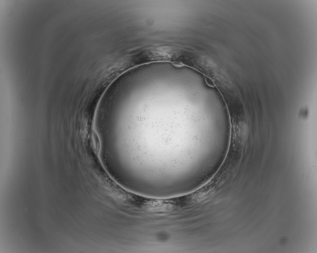 X0000097640331200803071558