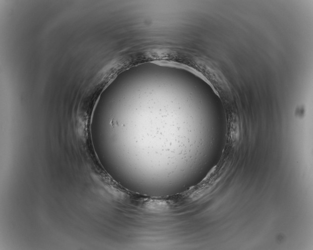 X0000097640332200803071558