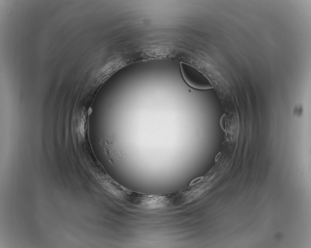 X0000097640334200803071558