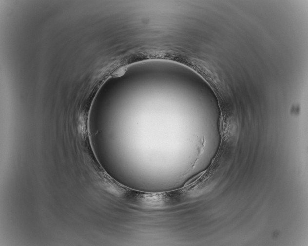 X0000097640335200803071558