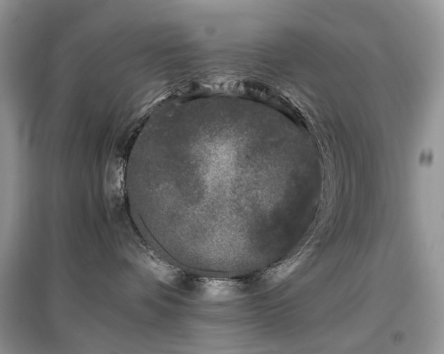 X0000097640336200803071558