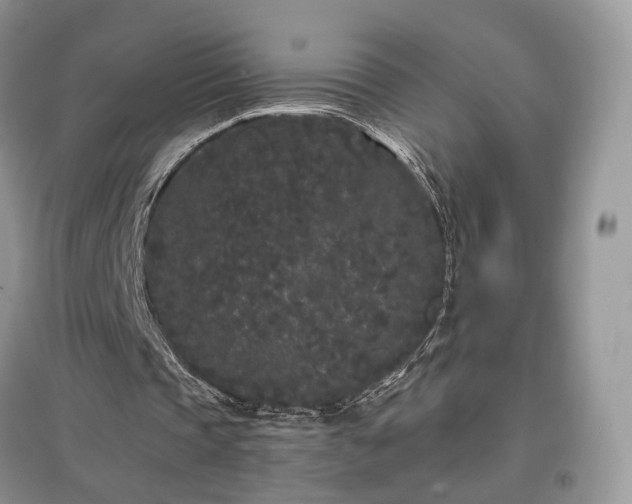 X0000097640337200803071557