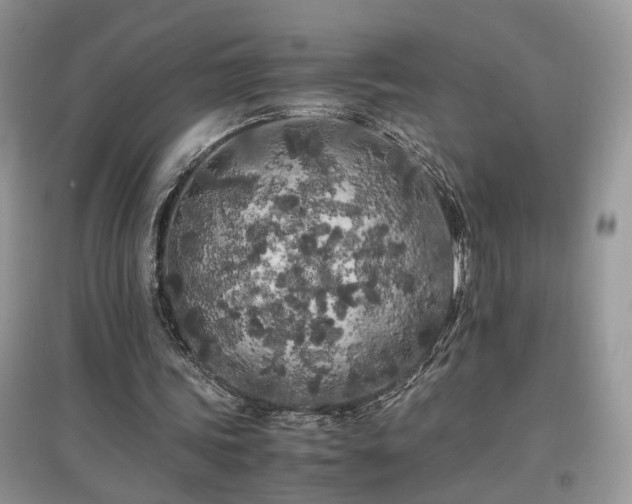 X0000097640339200803071557