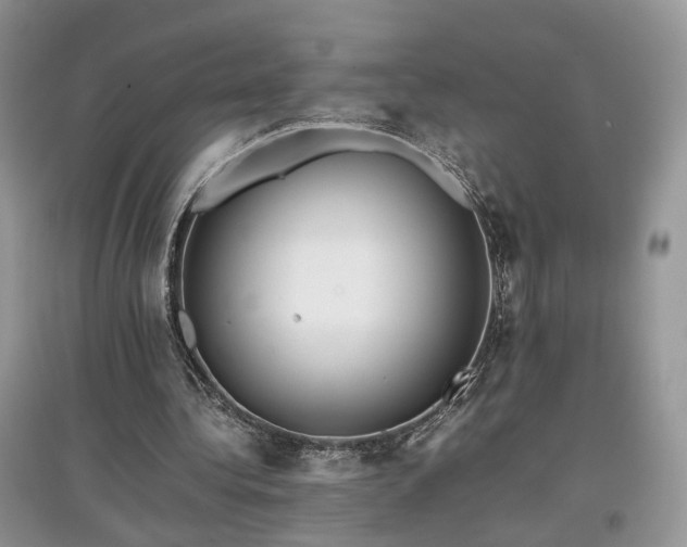 X0000097640340200803071557