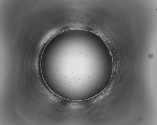 X0000097640341200803071557