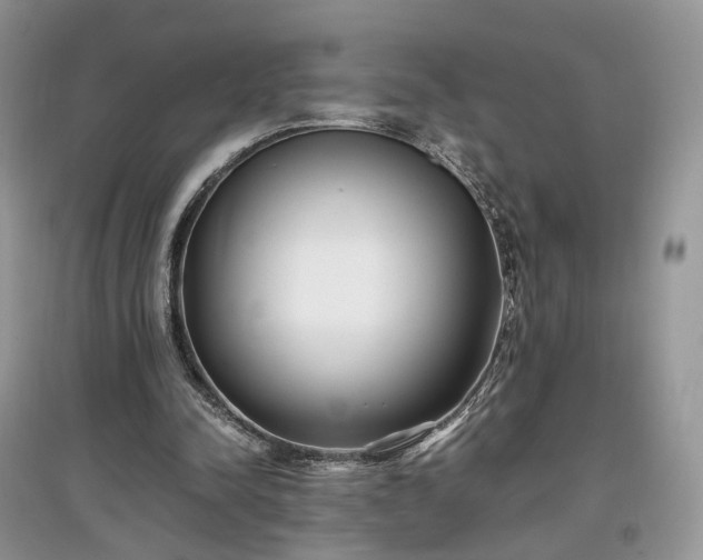 X0000097640342200803071557