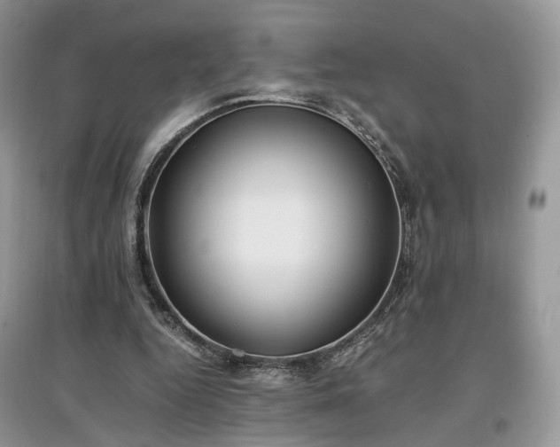 X0000097640344200803071558