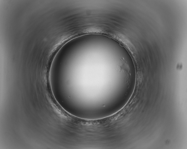 X0000097640345200803071558