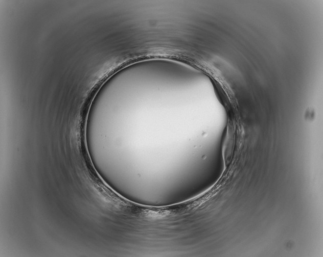 X0000097640346200803071558