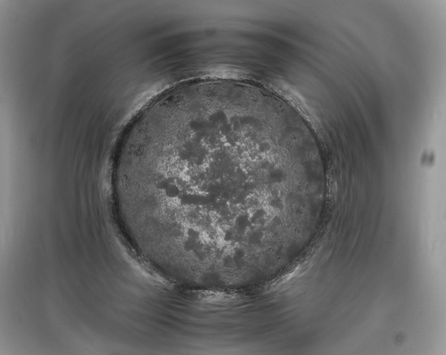 X0000097640347200803071558