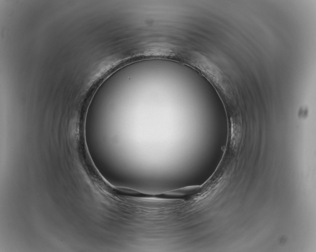 X0000097640348200803071558