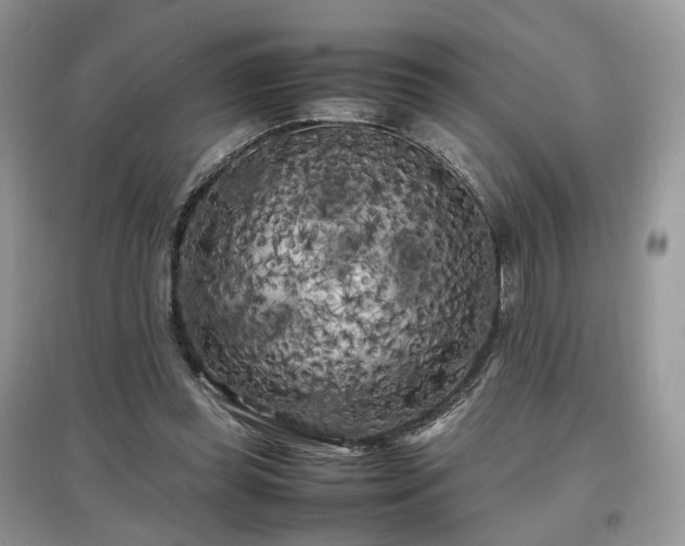 X0000097640349200803071558
