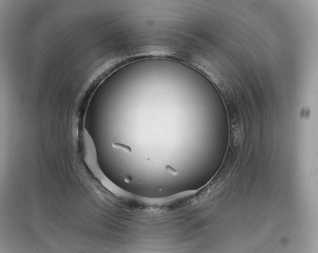 X0000097640350200803071558