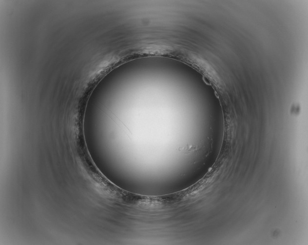 X0000097640354200803071558