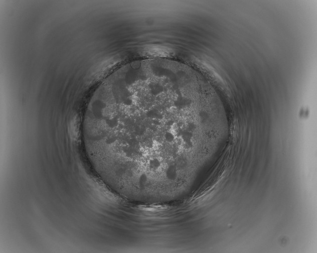 X0000097640359200803071558