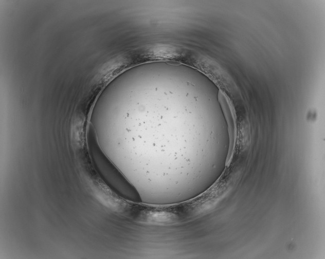 X0000097640360200803071558