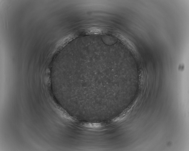 X0000097640361200803071558